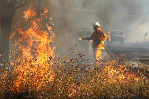 Rural Fire Service firefighters tackle a grass fire